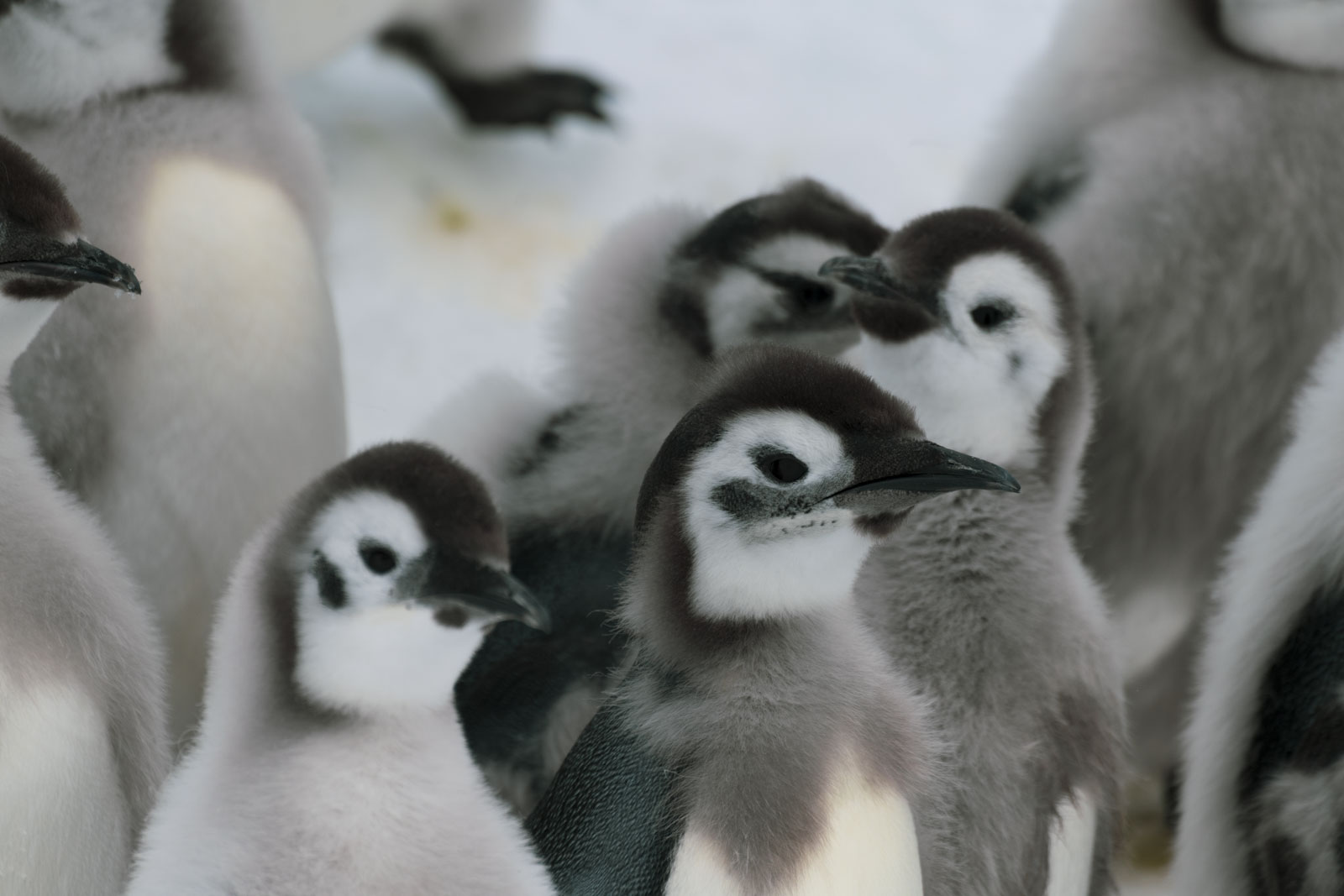 GYT 20221213 115216  DSC1087