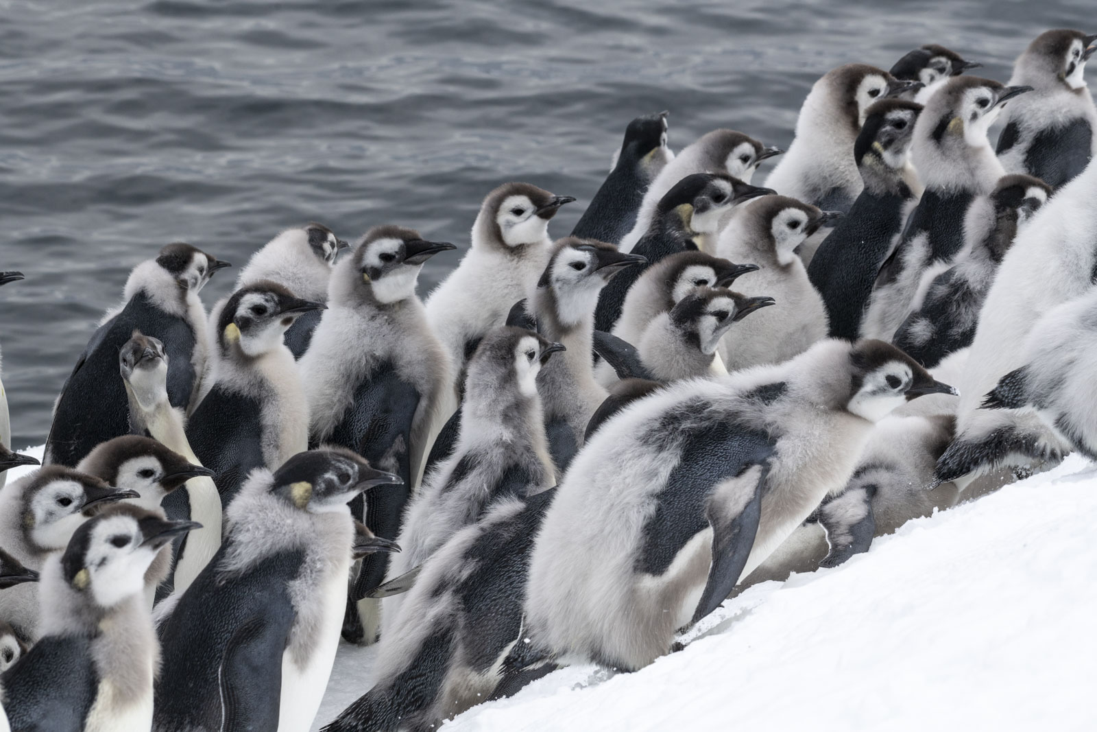 GYT 20221213 115246  DSC1089