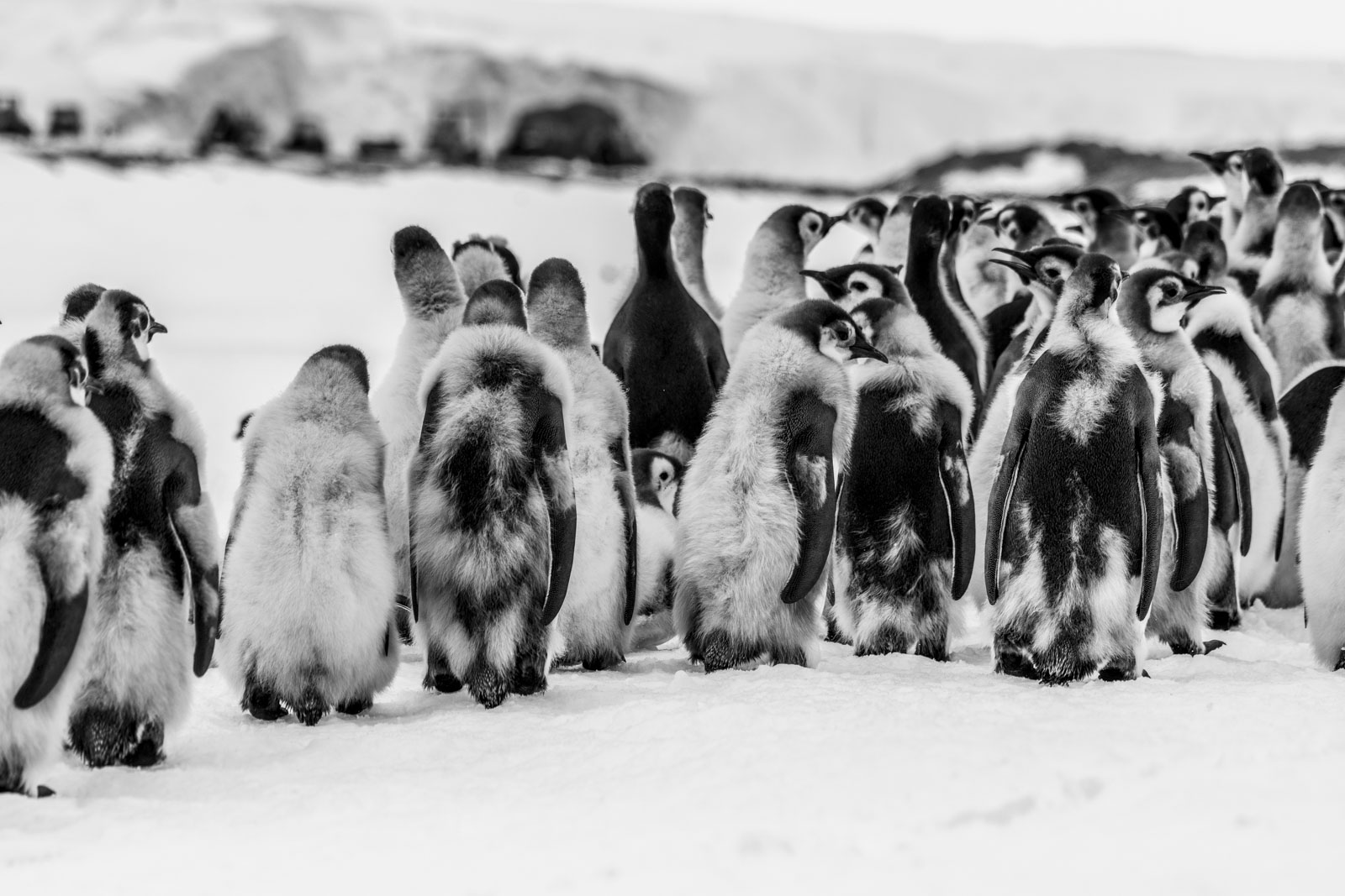 GYT 20221213 120039  DSC1093