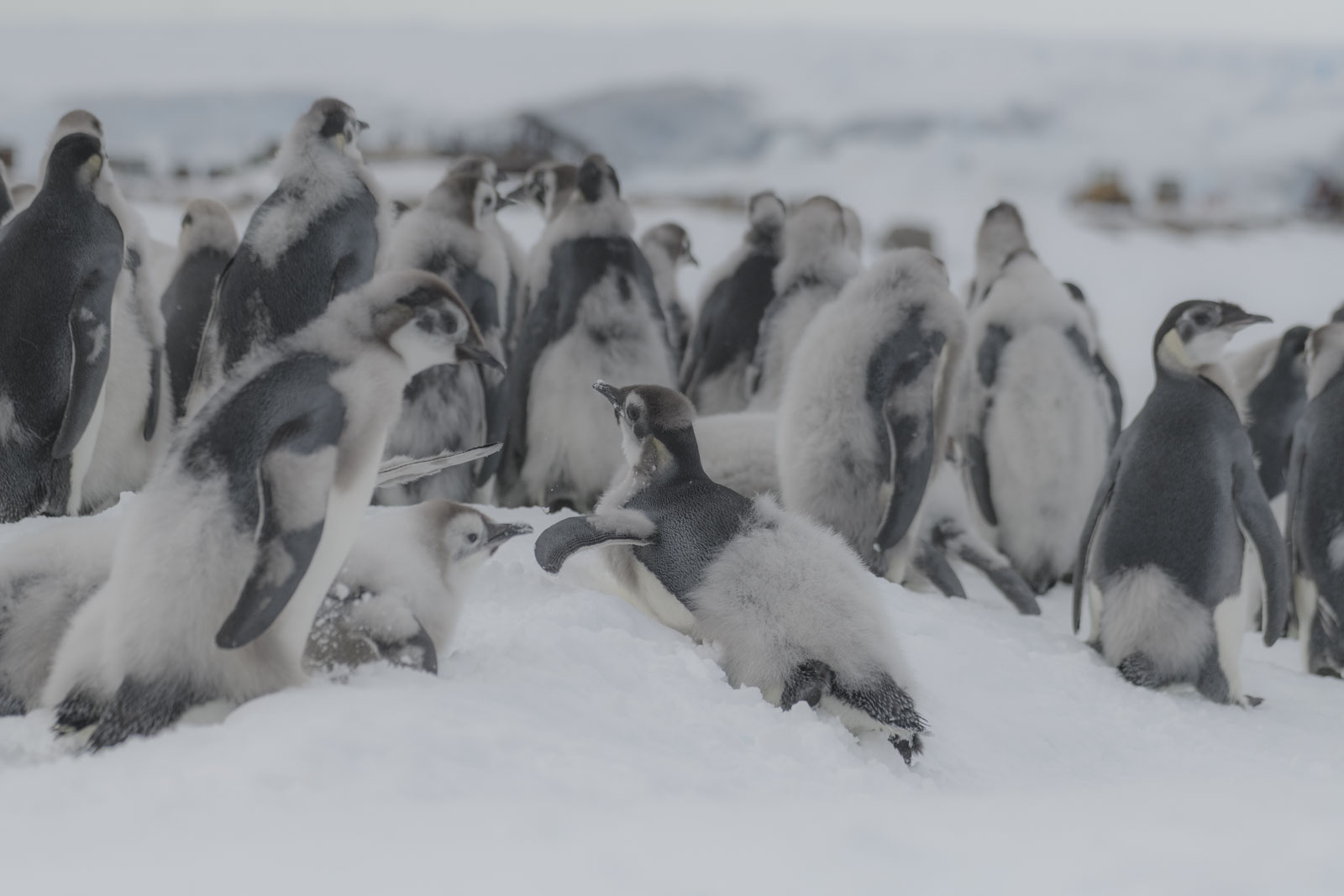 GYT 20221213 120120  DSC1095