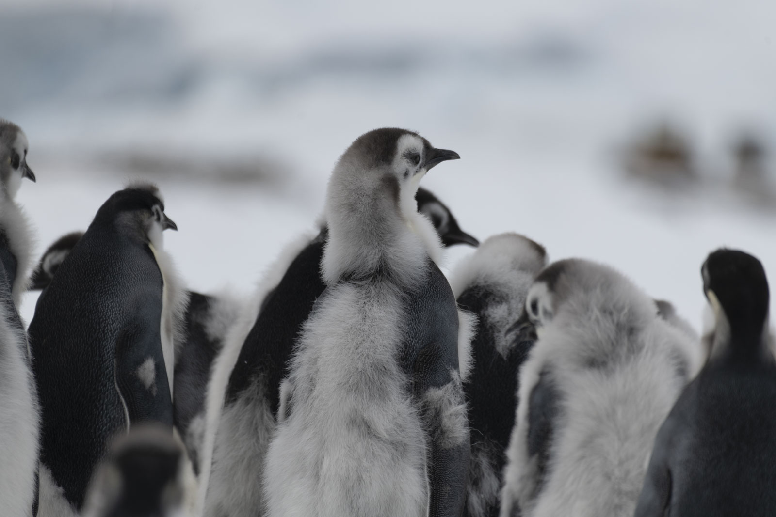 GYT 20221213 120126  DSC1097