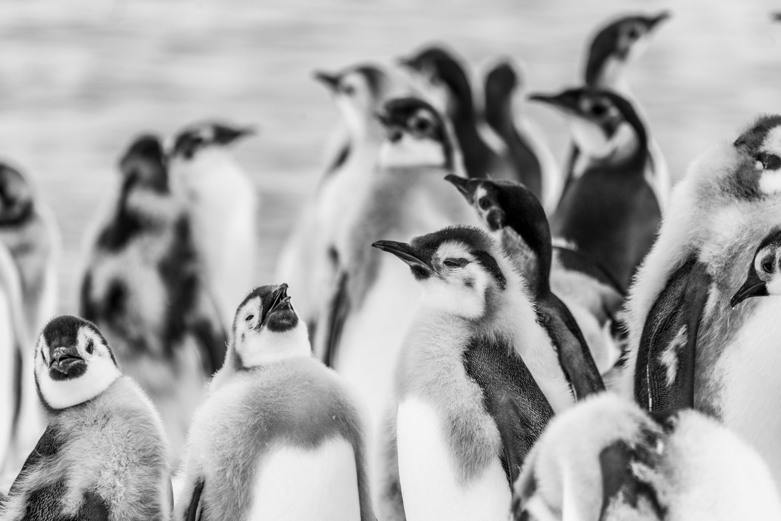 GYT 20221213 121031  DSC1098