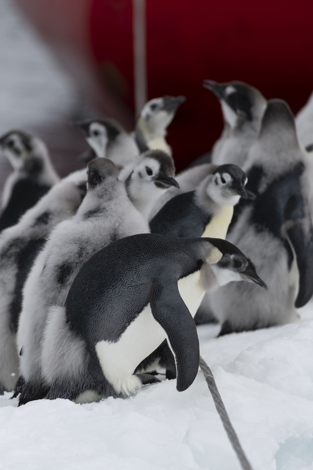 GYT 20221213 121151  DSC1102