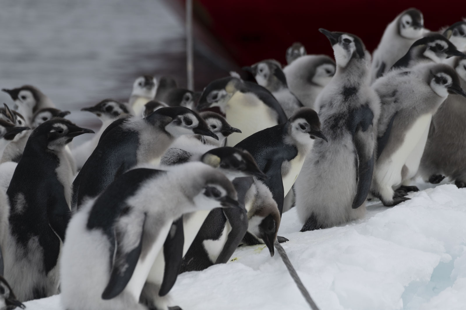 GYT 20221213 121237  DSC1104