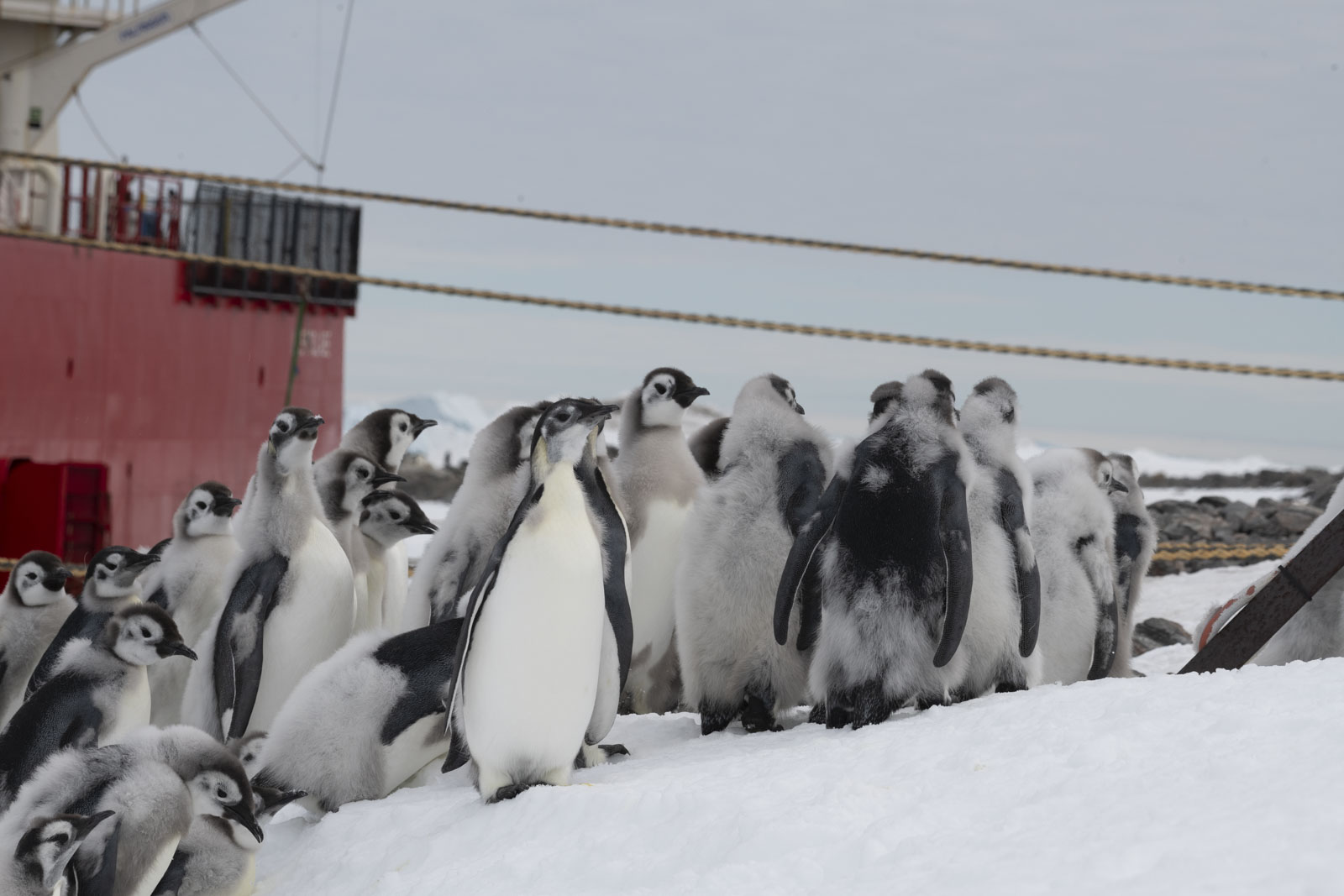 GYT 20221213 121423  DSC1110