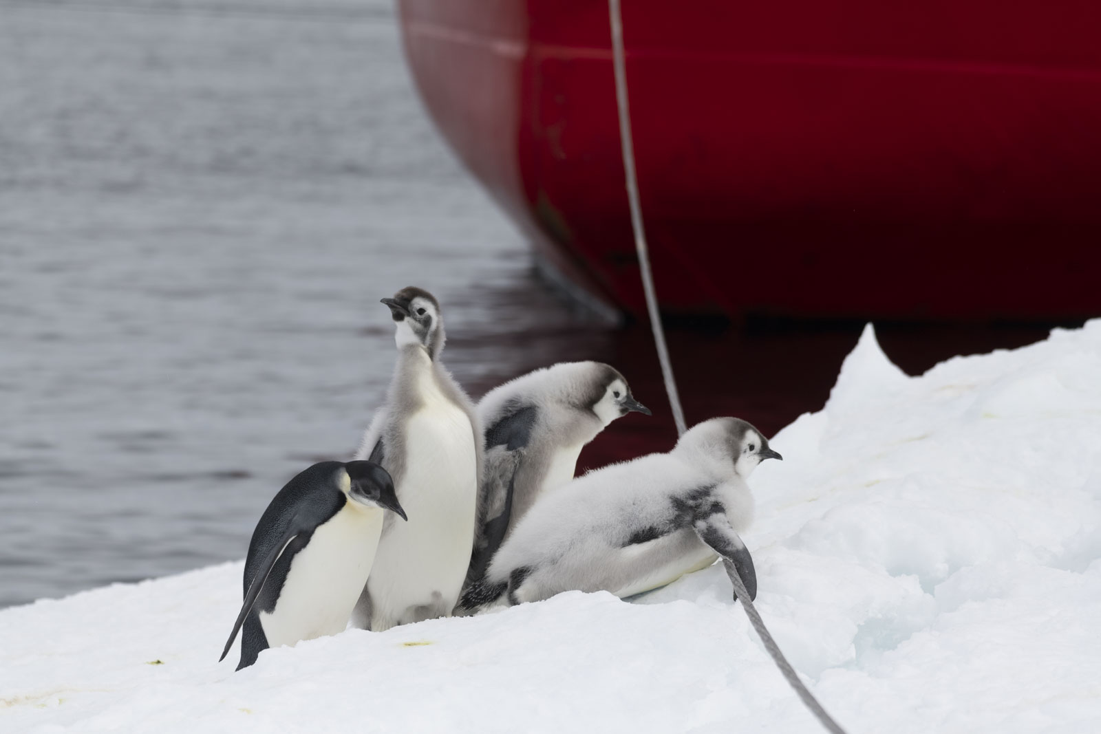 GYT 20221213 121626  DSC1112