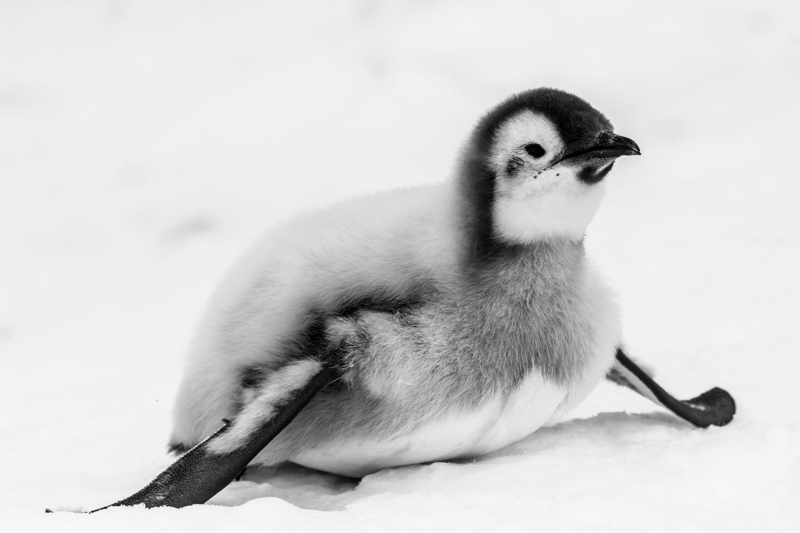 GYT 20221213 121744  DSC1116 2