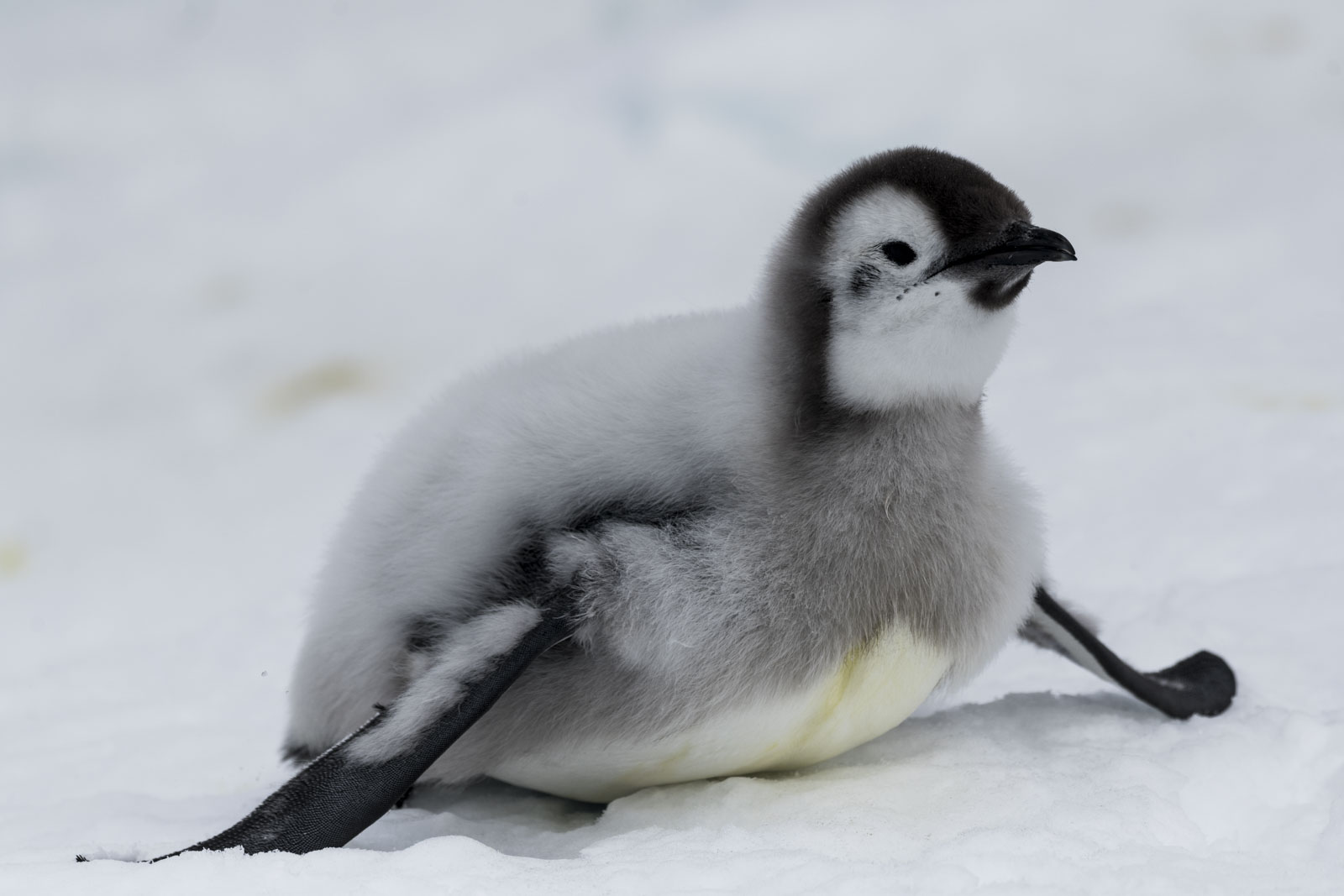 GYT 20221213 121744  DSC1116