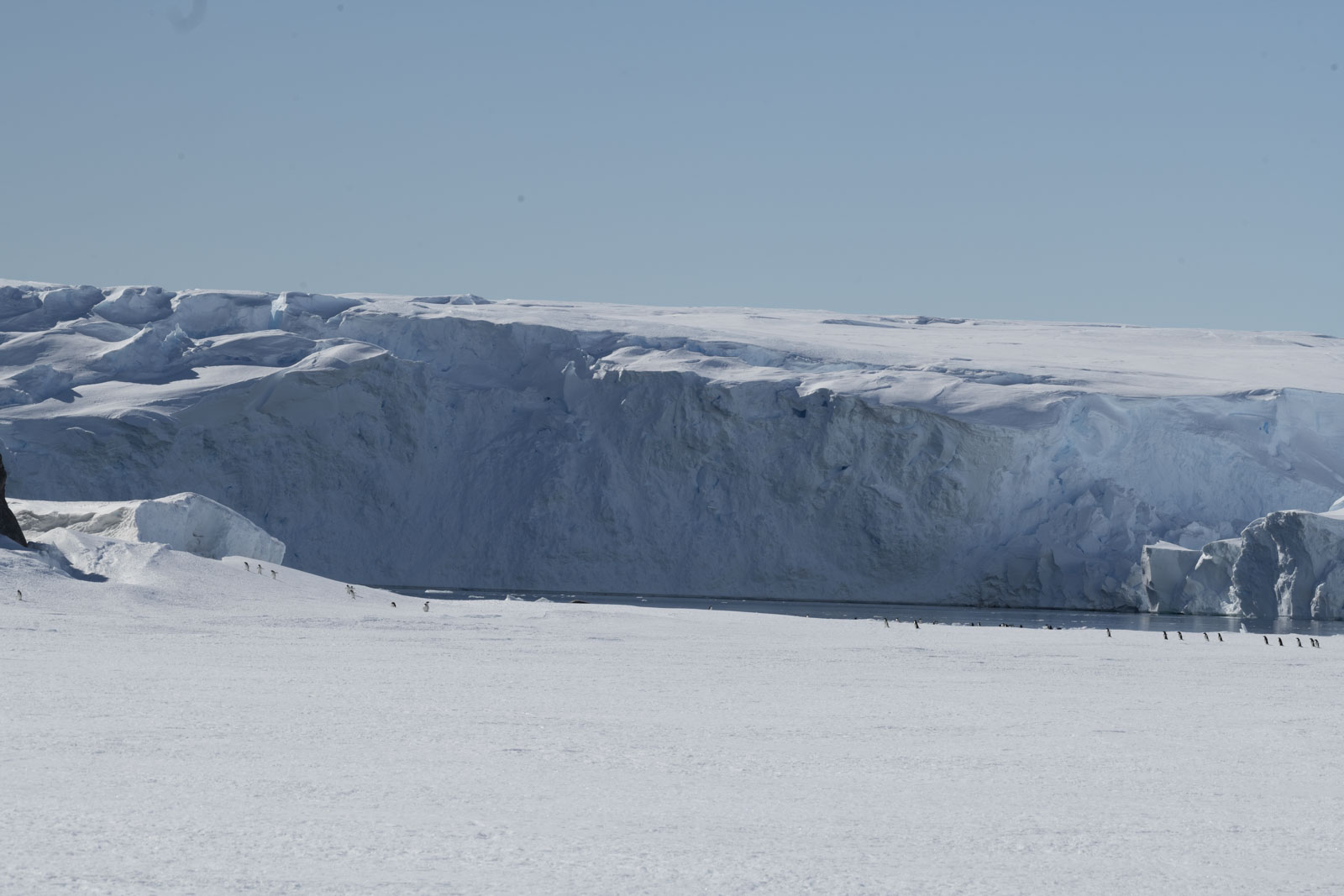 GYT 20221214 102455  DSC1128