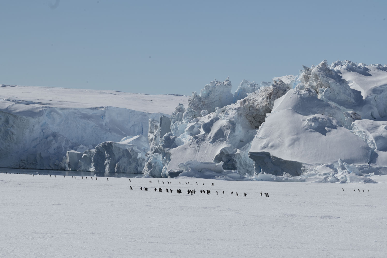 GYT 20221214 102502  DSC1129