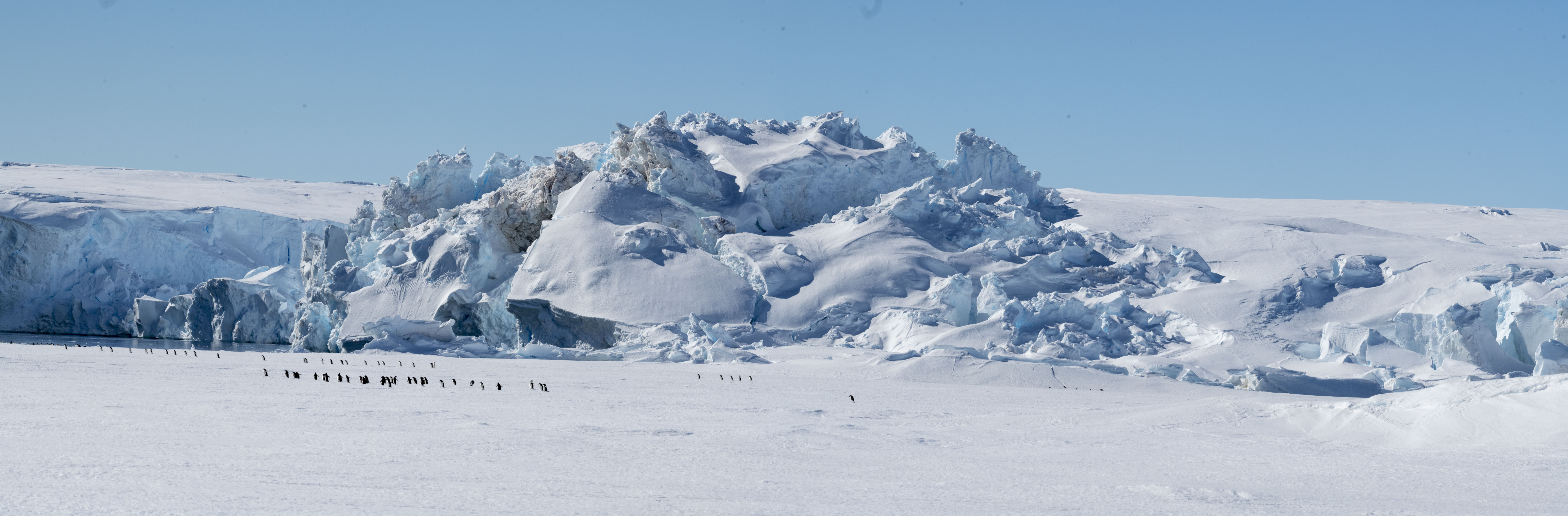 GYT 20221214 102506  PAN1130 Panorama 2