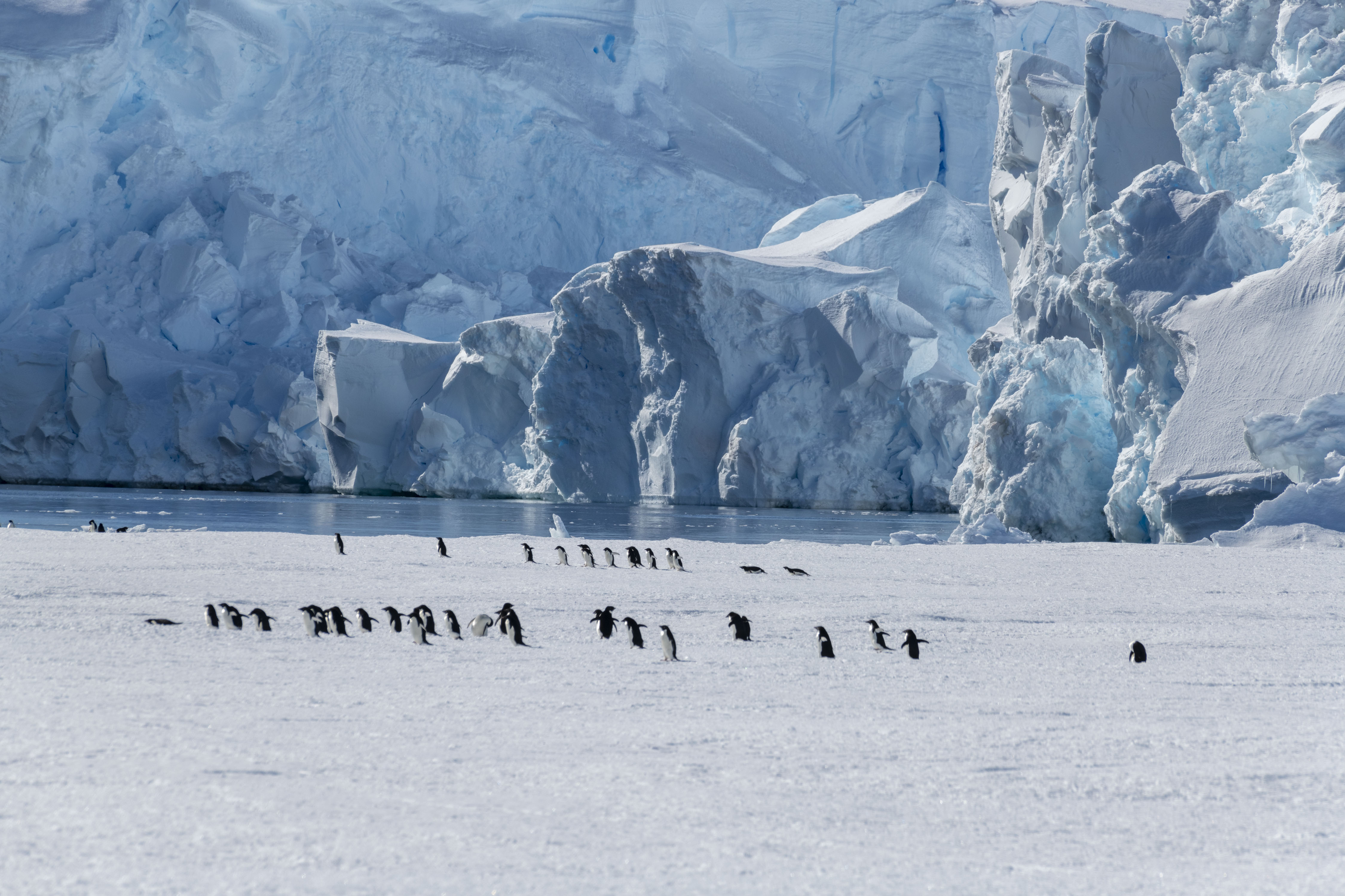 GYT 20221214 102541  PAN1136 Panorama