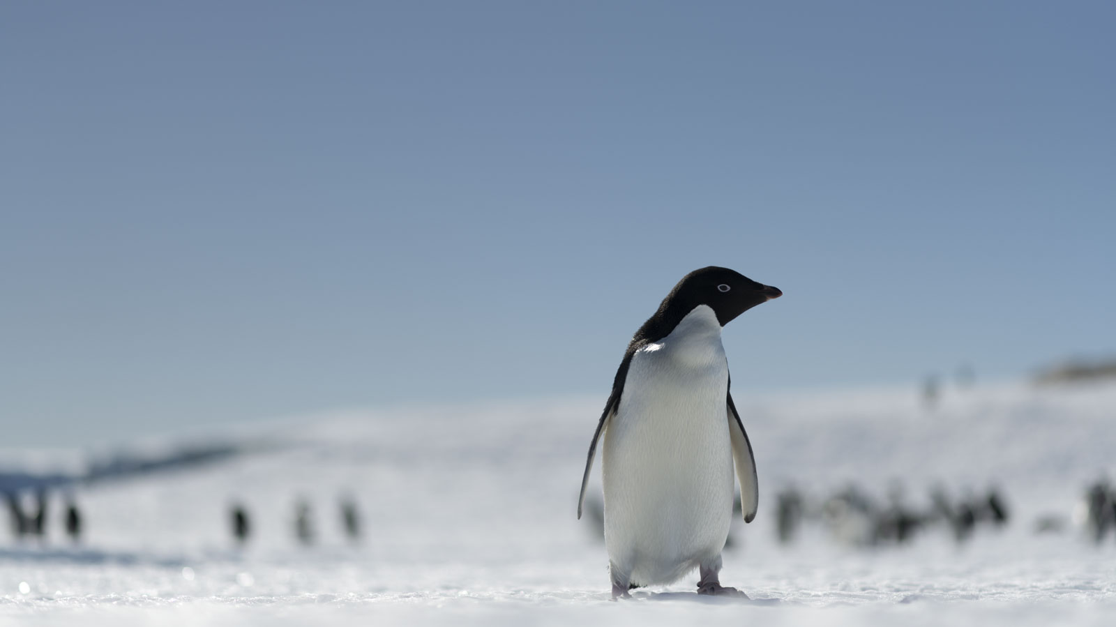 GYT 20221214 103508  DSC1145