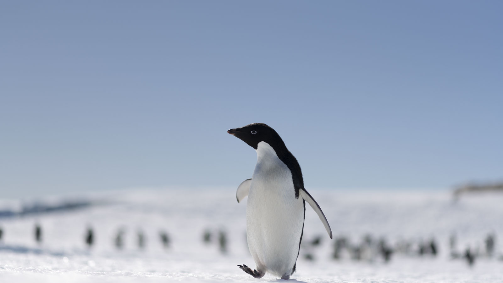 GYT 20221214 103545  DSC1147