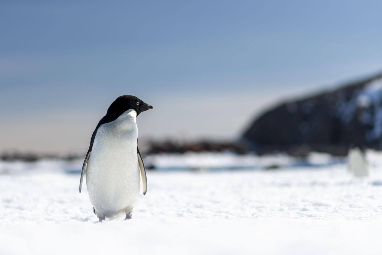 GYT 20221214 103753  DSC1151