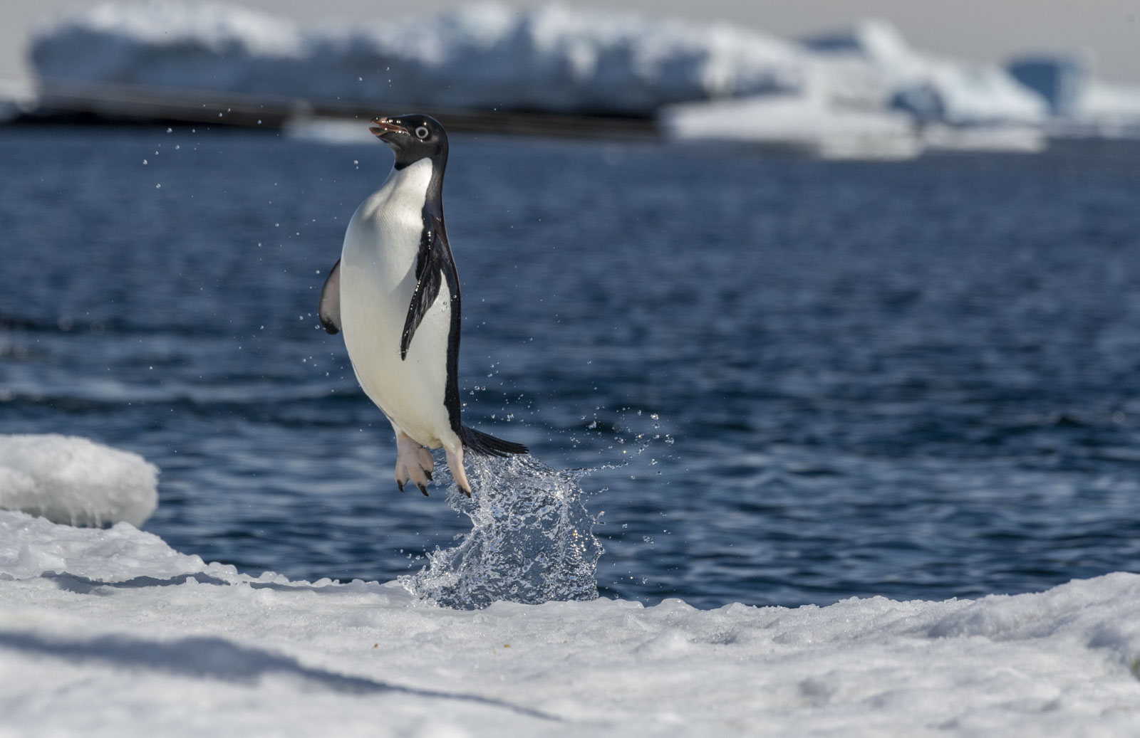 GYT 20221214 105317  DSC1178