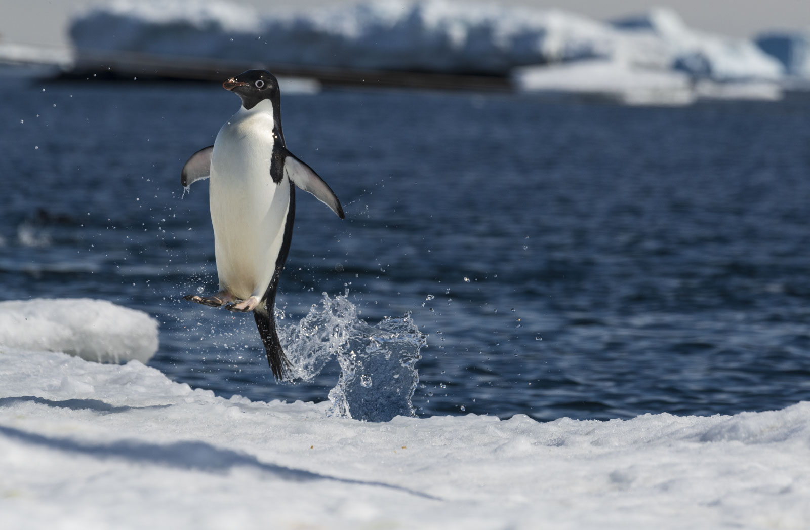 GYT 20221214 105318  DSC1179