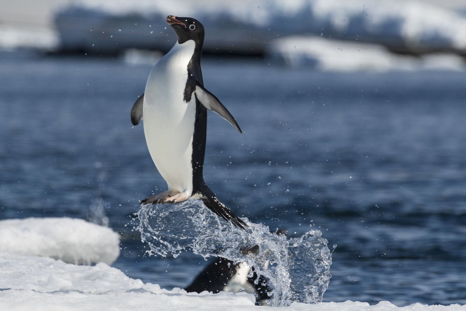 GYT 20221214 105850  DSC1196