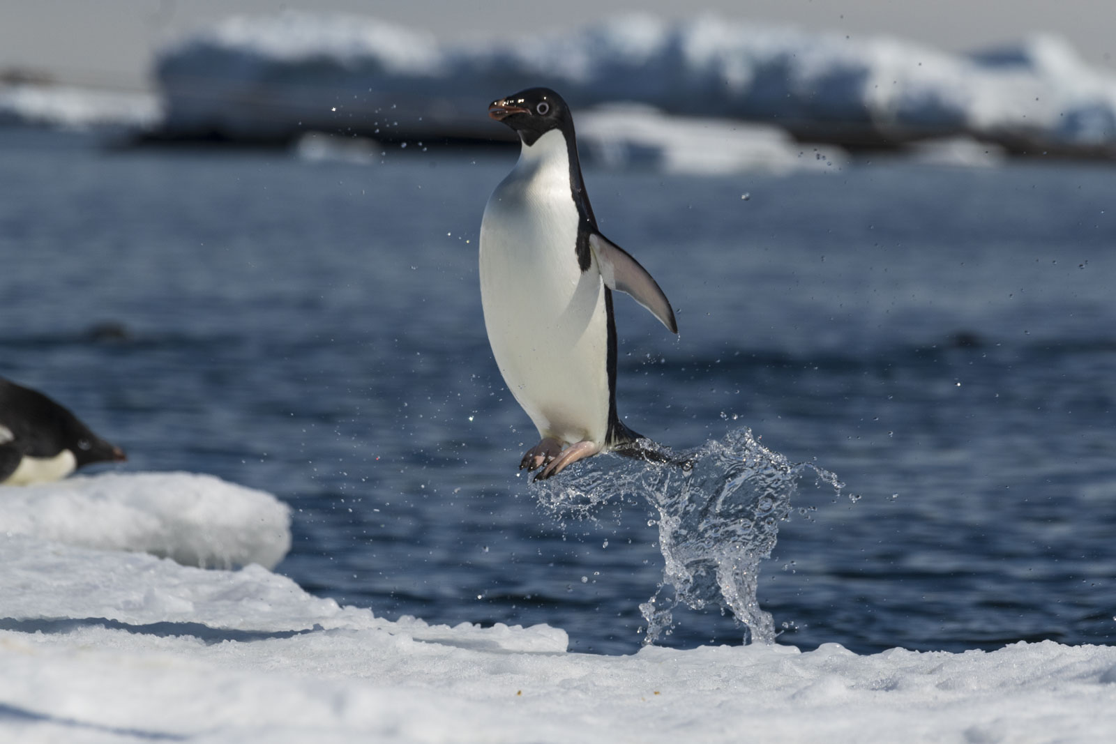 GYT 20221214 110002  DSC1209