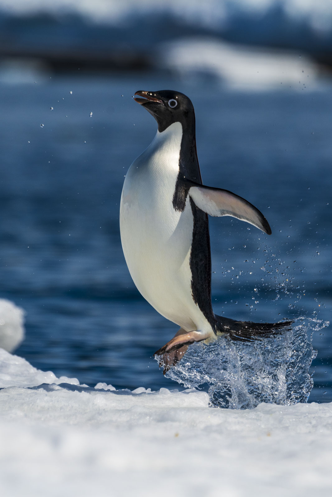 GYT 20221214 110202  DSC1211 2