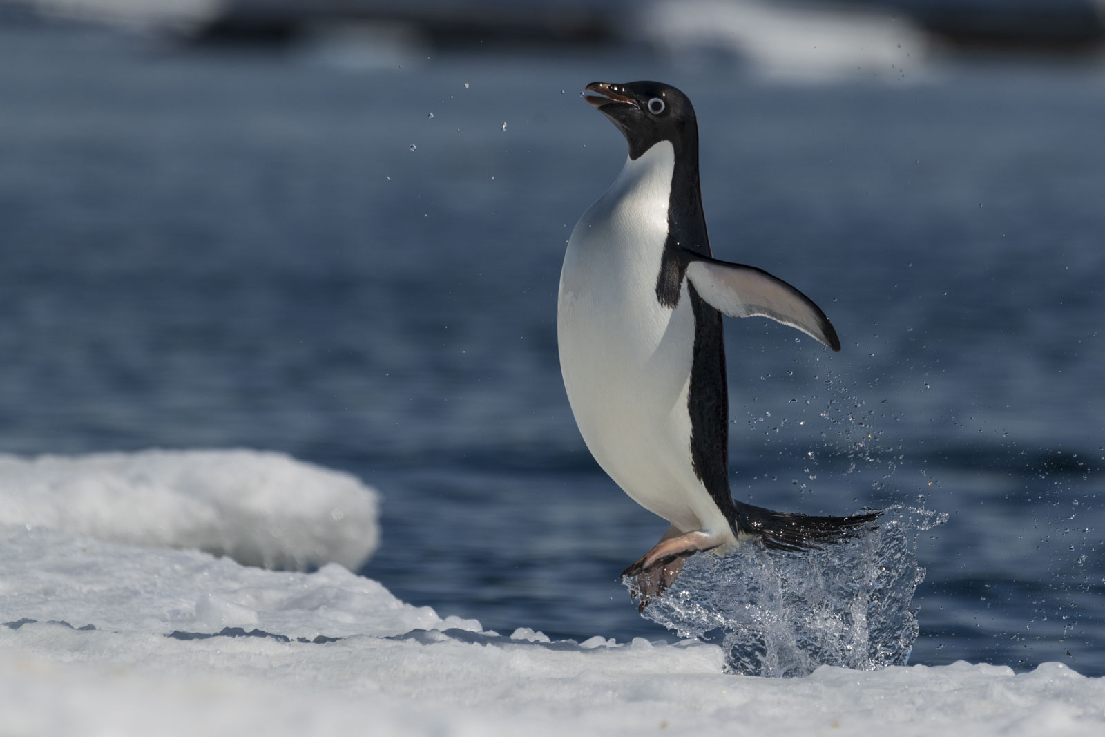 GYT 20221214 110202  DSC1211 3