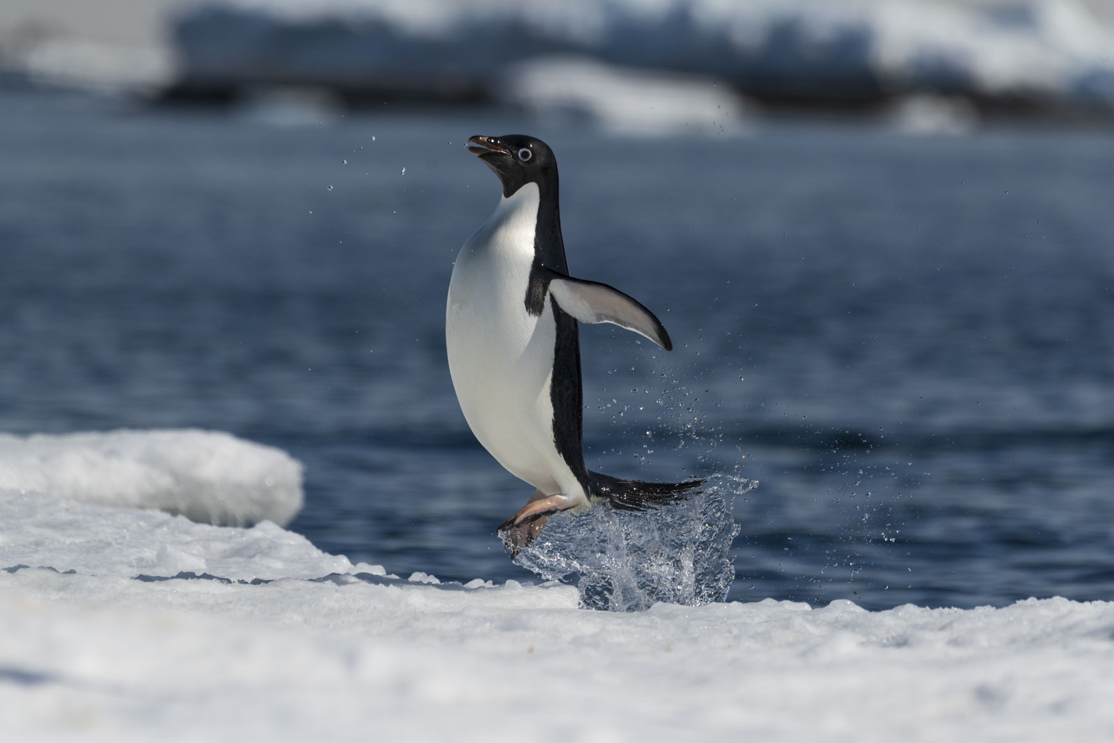 GYT 20221214 110202  DSC1211