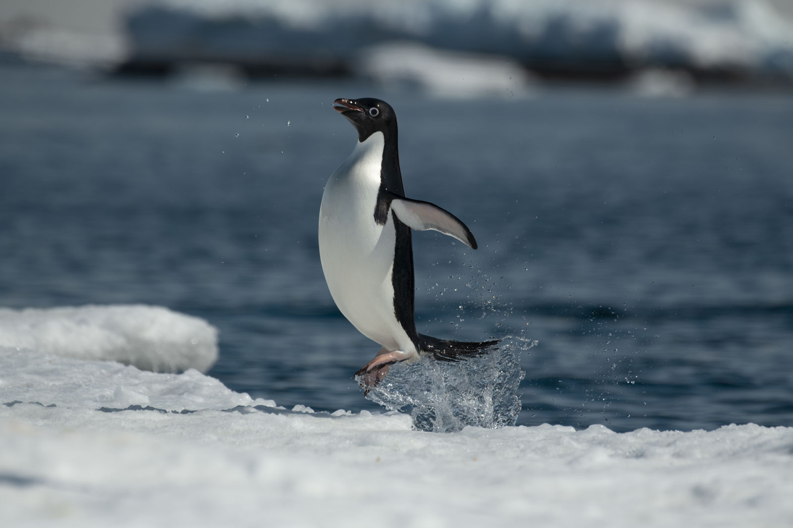 GYT 20221214 110202  DSC1211 DxO