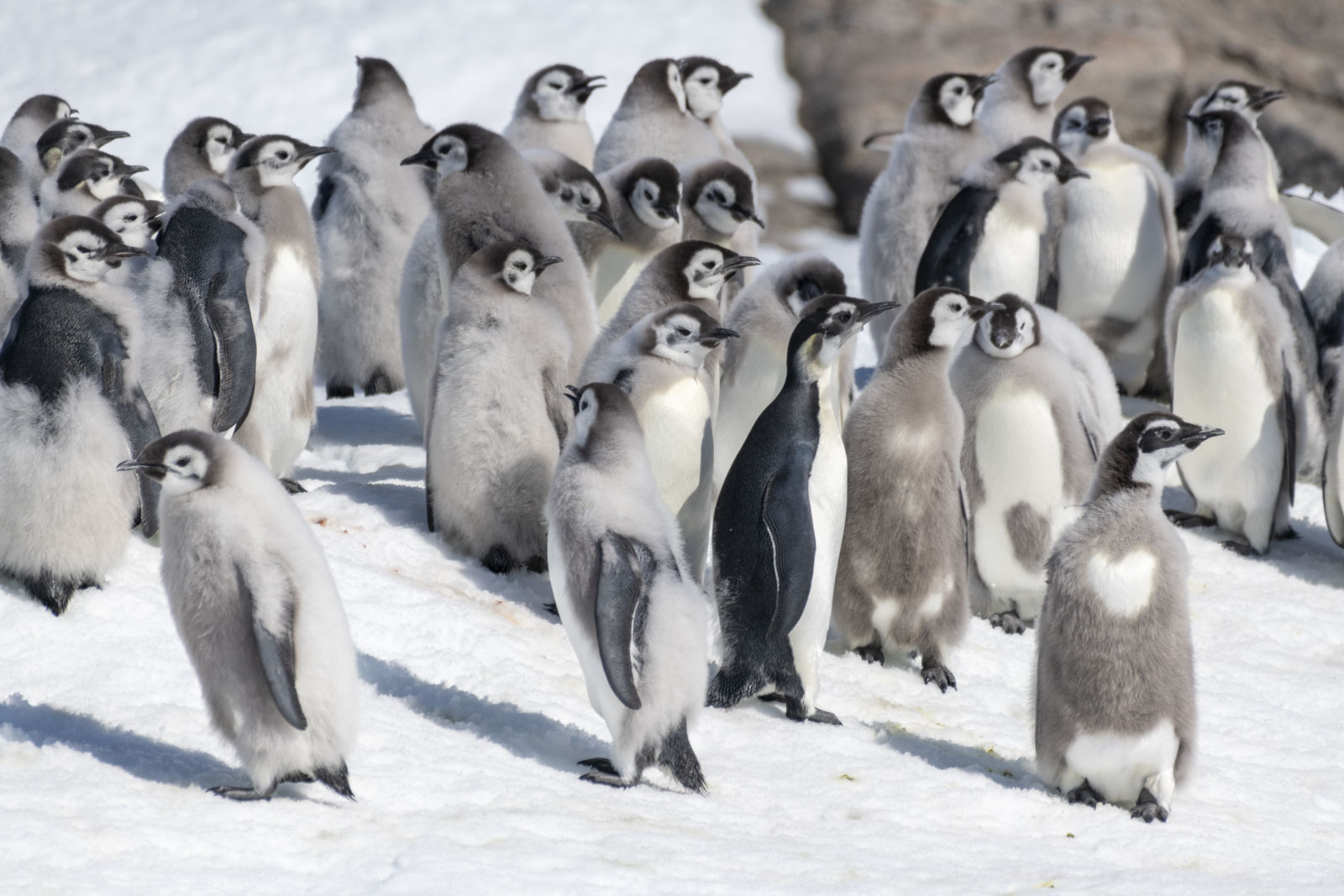 GYT 20221214 110543  DSC1235