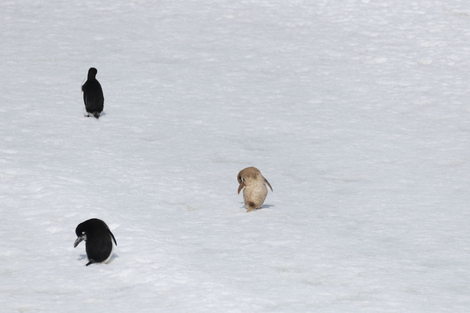 GYT 20221214 141102  DSC1241