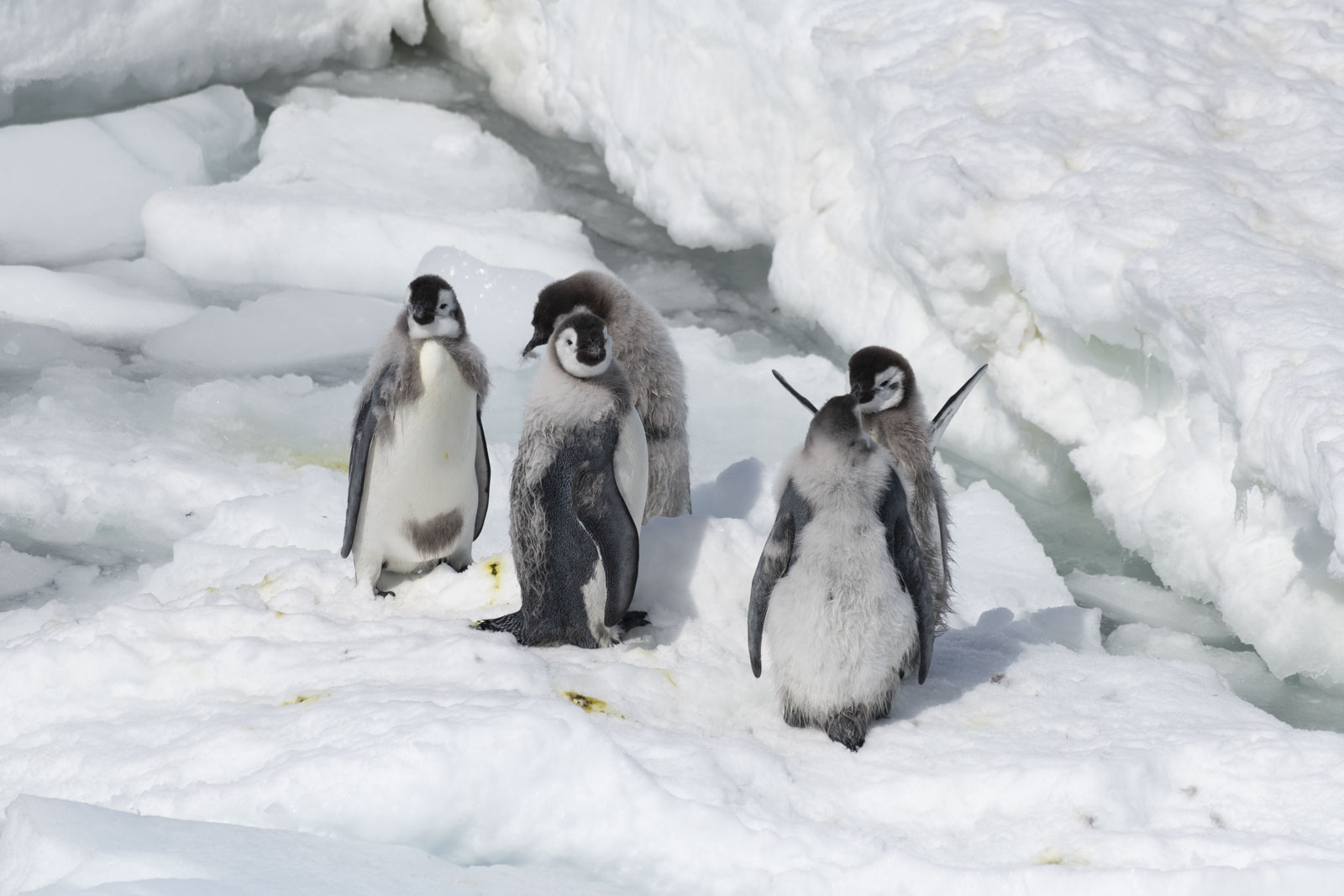 GYT 20221214 141919  DSC1249