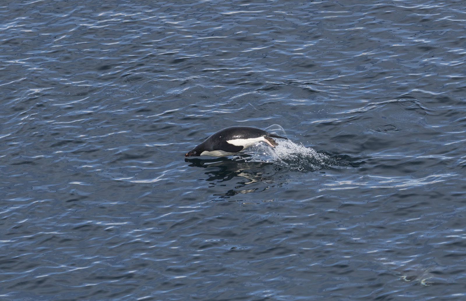 GYT 20221214 144221  DSC1254