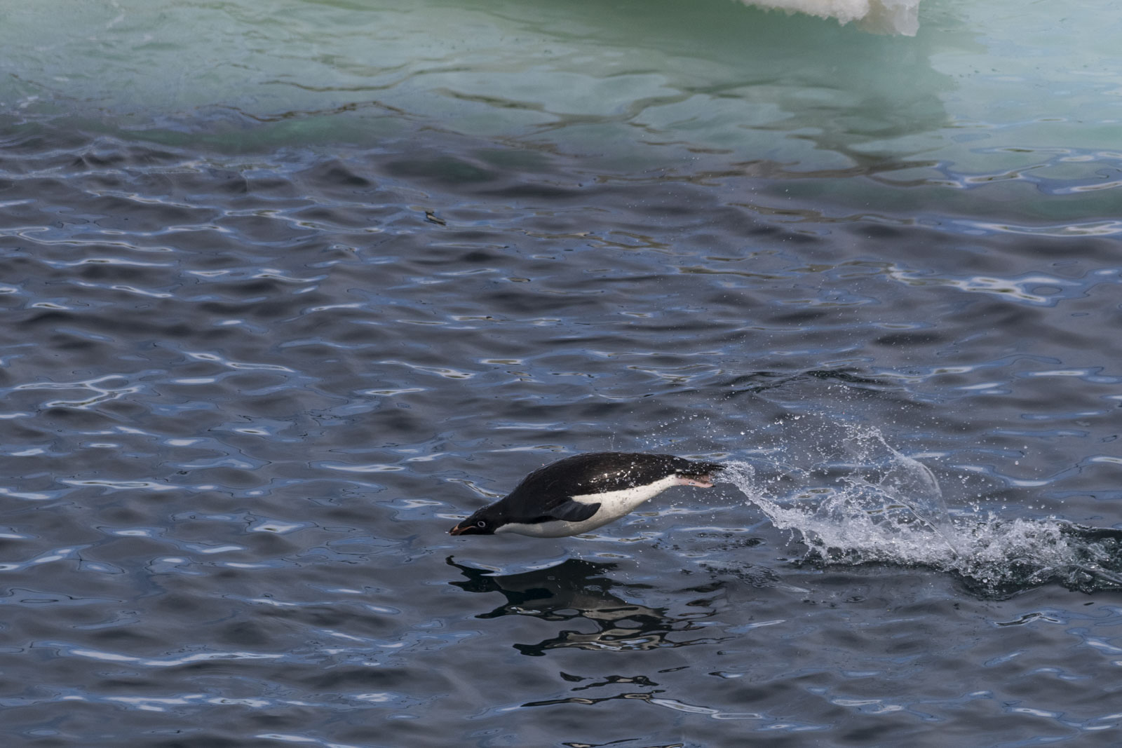 GYT 20221214 144335  DSC1256