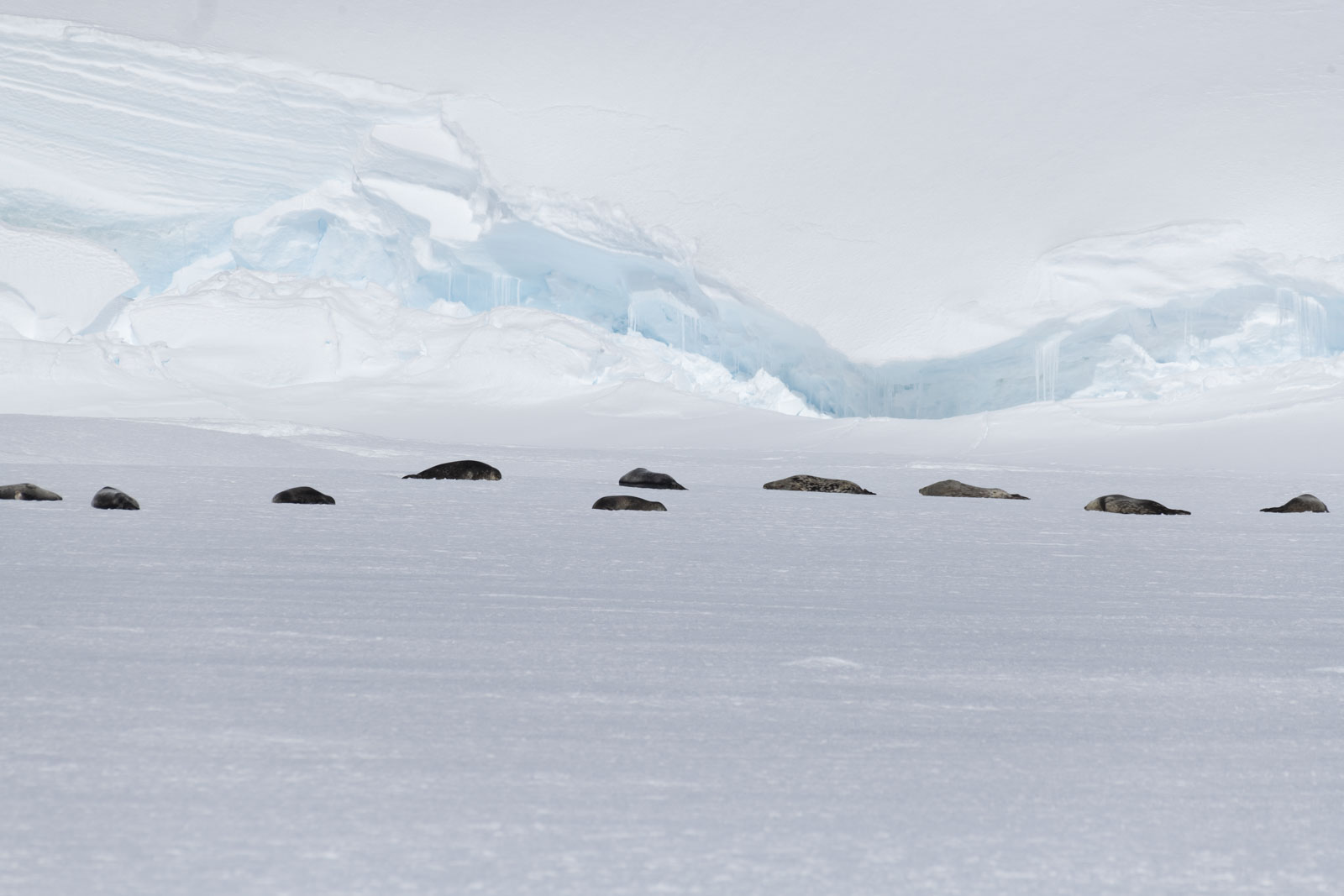 GYT 20221216 150623  DSC1289