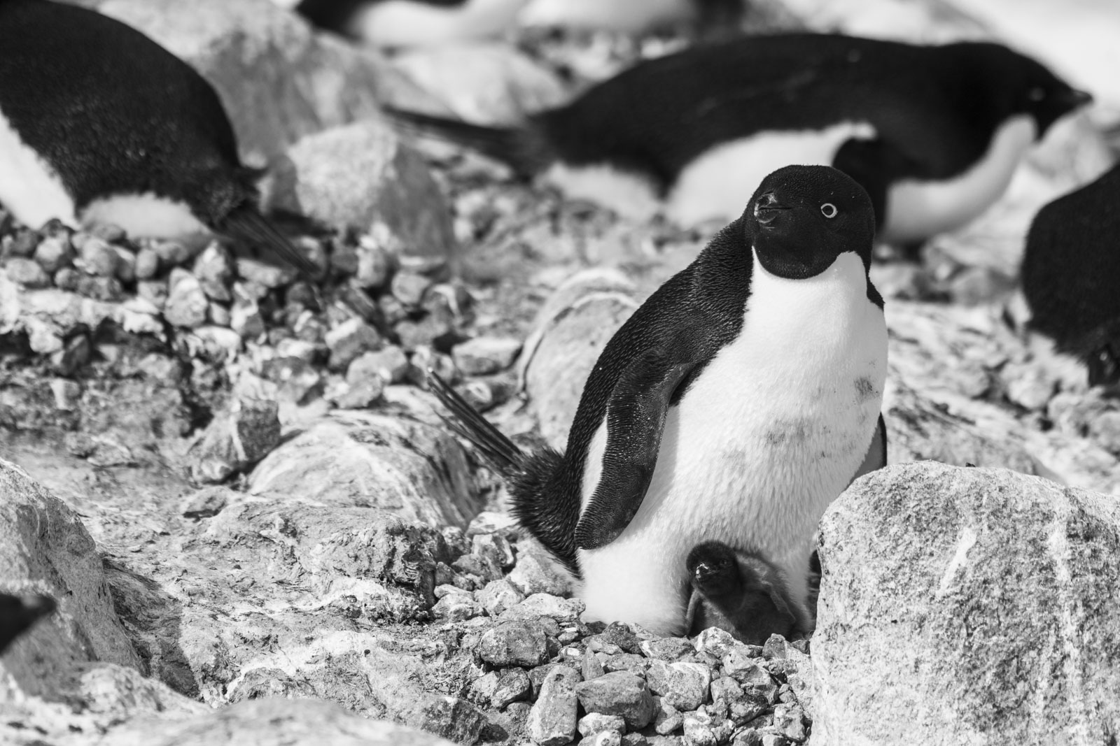 GYT 20221216 170657  DSC1310