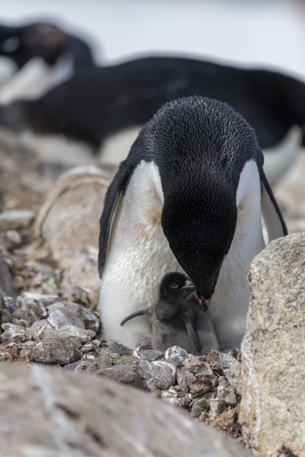 GYT 20221216 170835  DSC1315