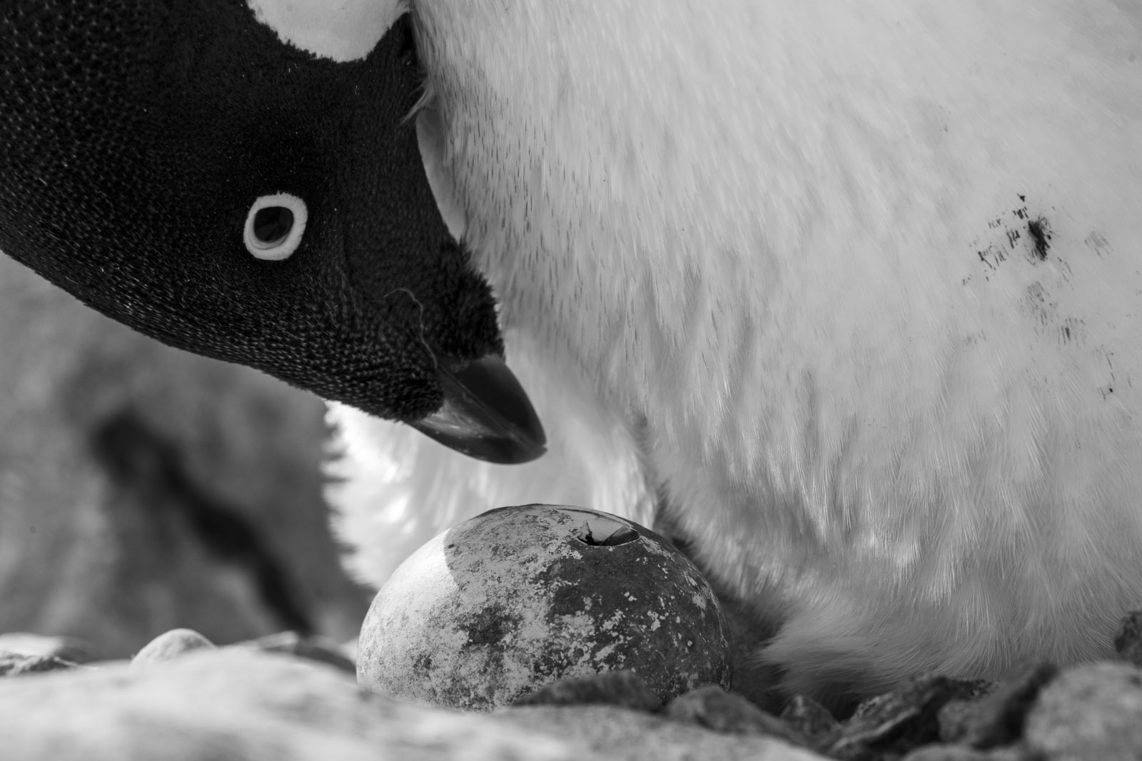 GYT 20221216 171653  DSC1317