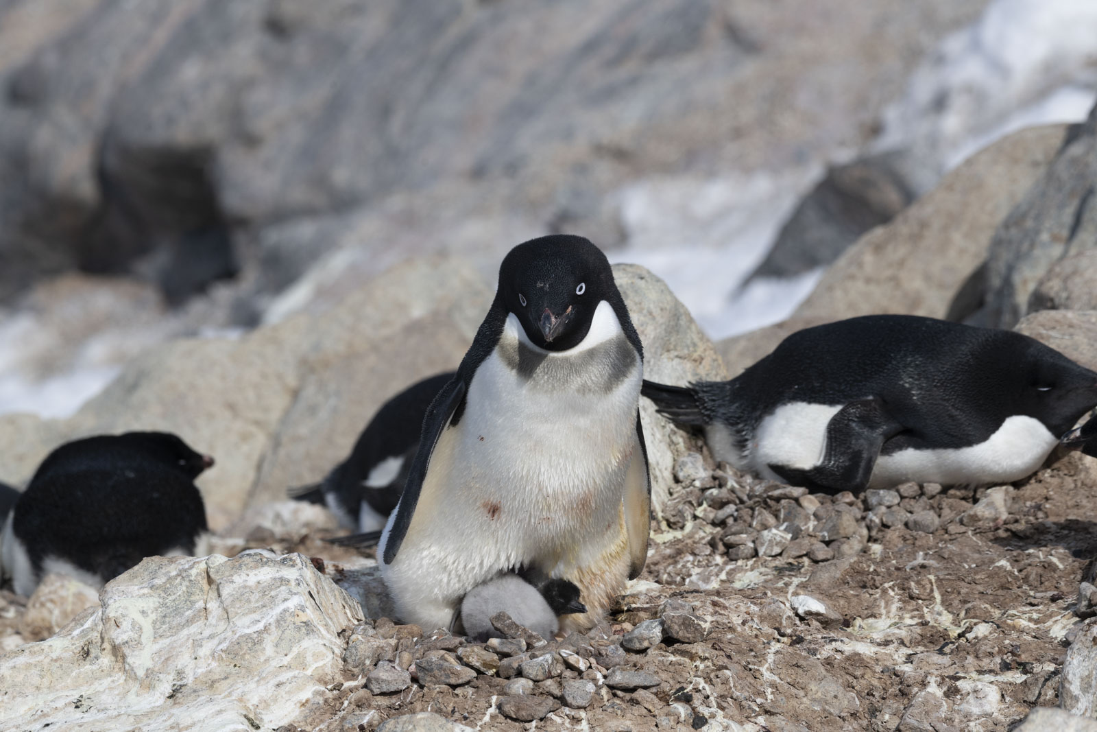 GYT 20221216 173019  DSC1320