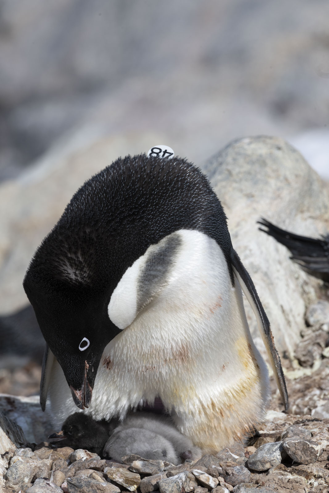 GYT 20221216 174931  DSC1329