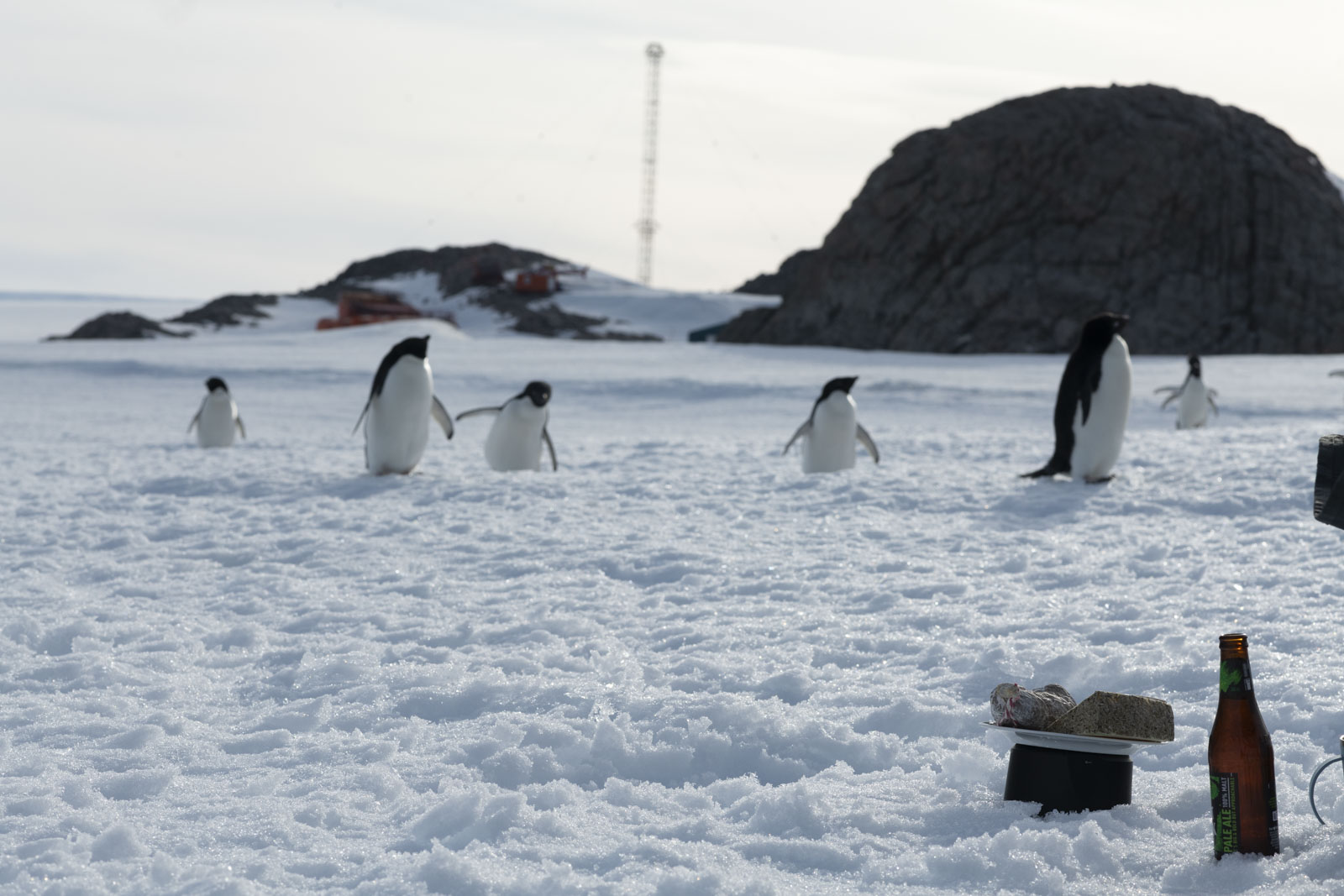 GYT 20221216 195202  DSC1333