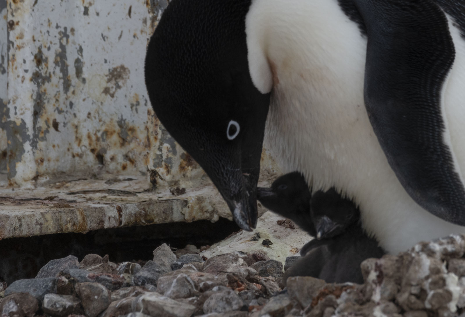 GYT 20221217 100014  DSC1338 2