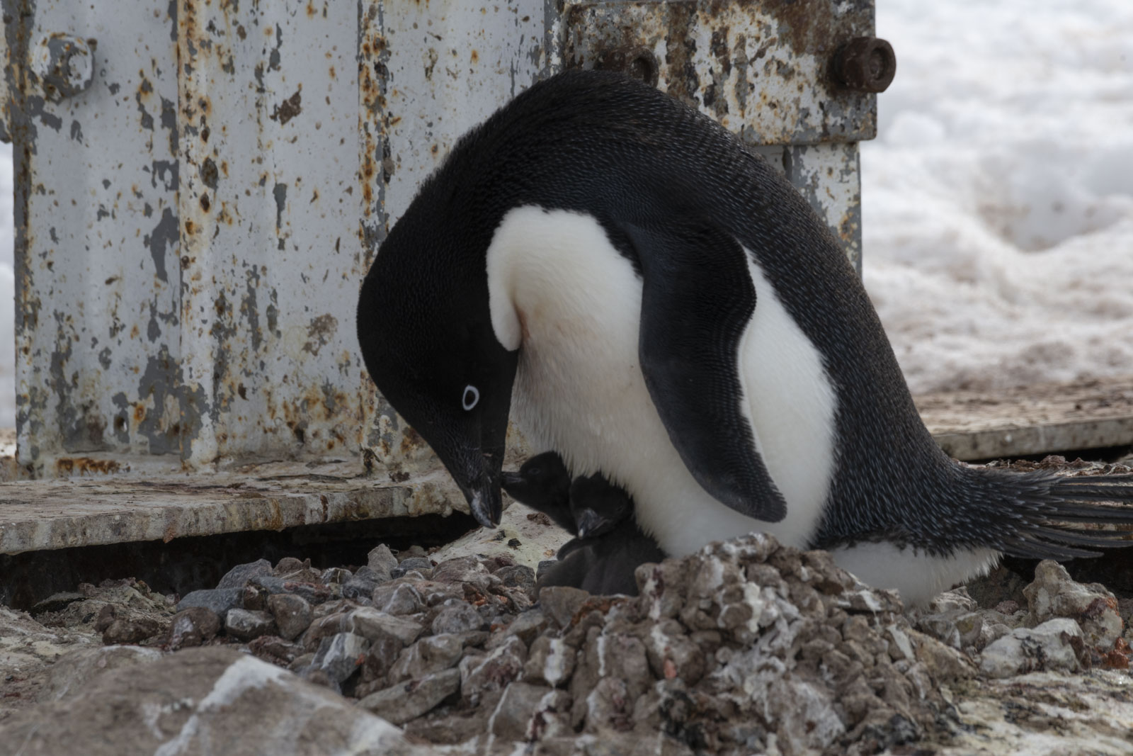 GYT 20221217 100014  DSC1338