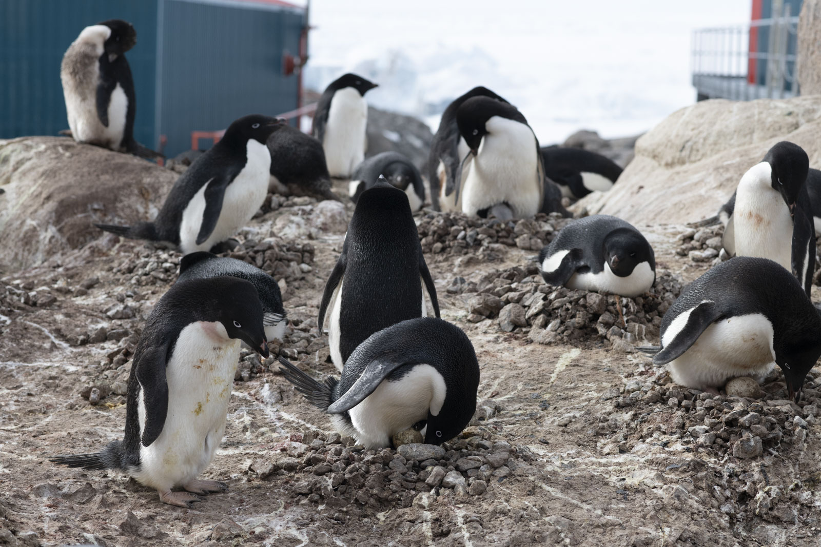 GYT 20221217 100504  DSC1345