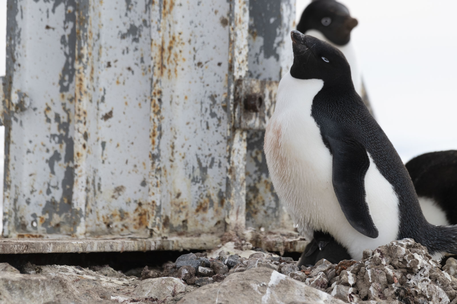 GYT 20221217 101157  DSC1356