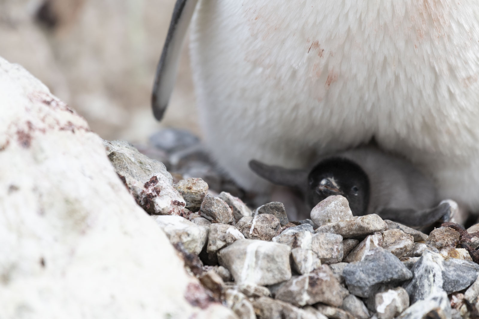 GYT 20221217 101633  DSC1359