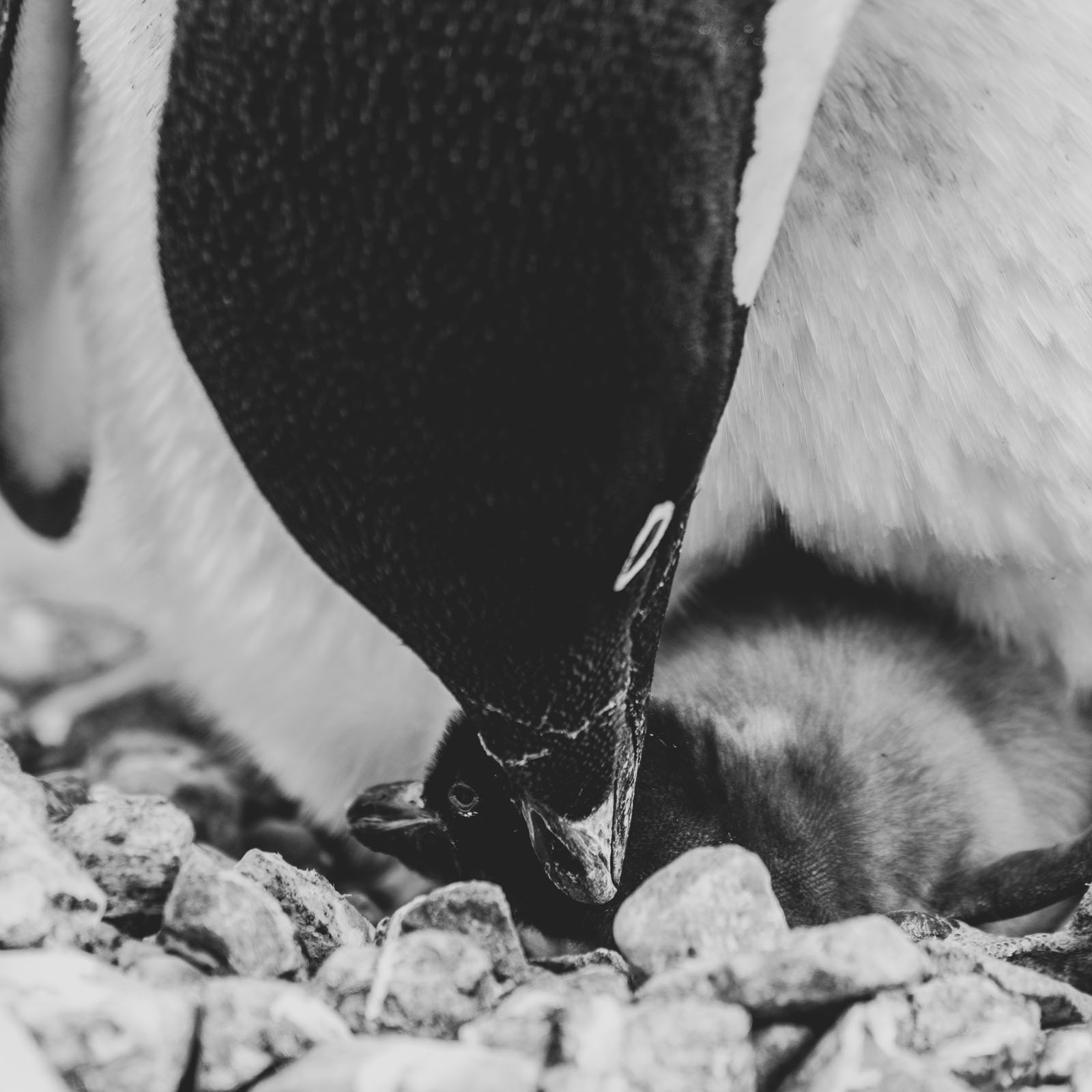 GYT 20221217 101739  DSC1360