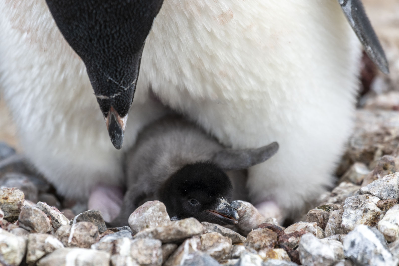 GYT 20221217 101754  DSC1363