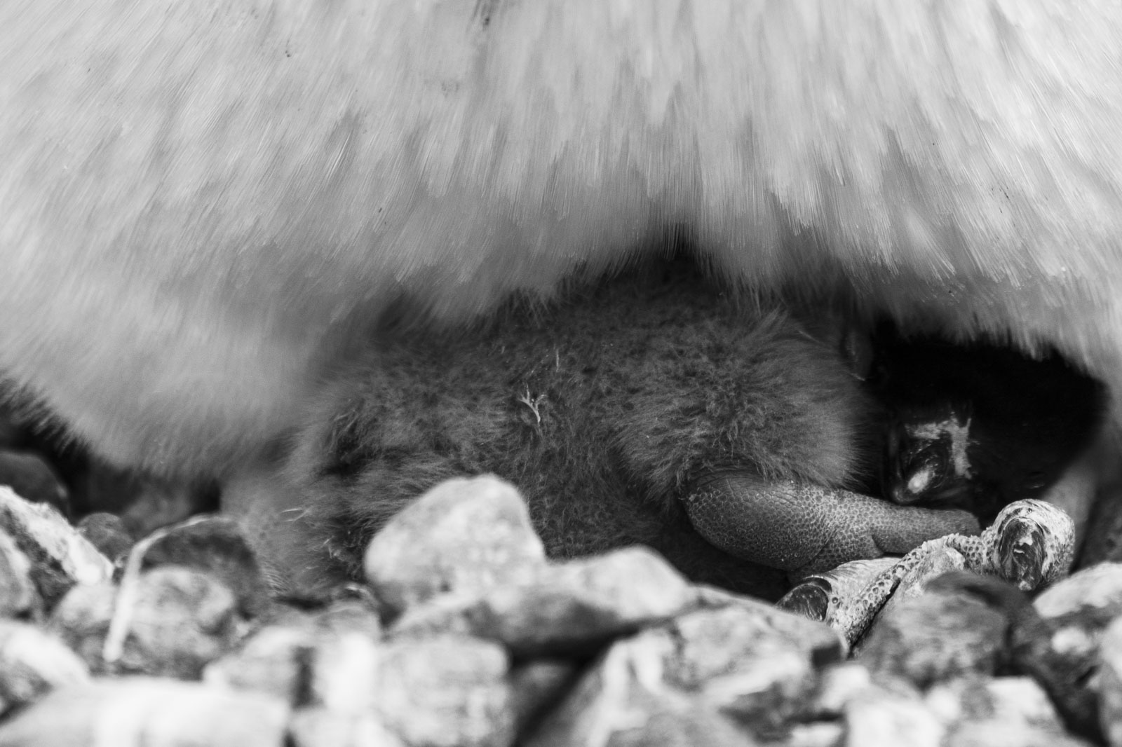 GYT 20221217 102028  DSC1366