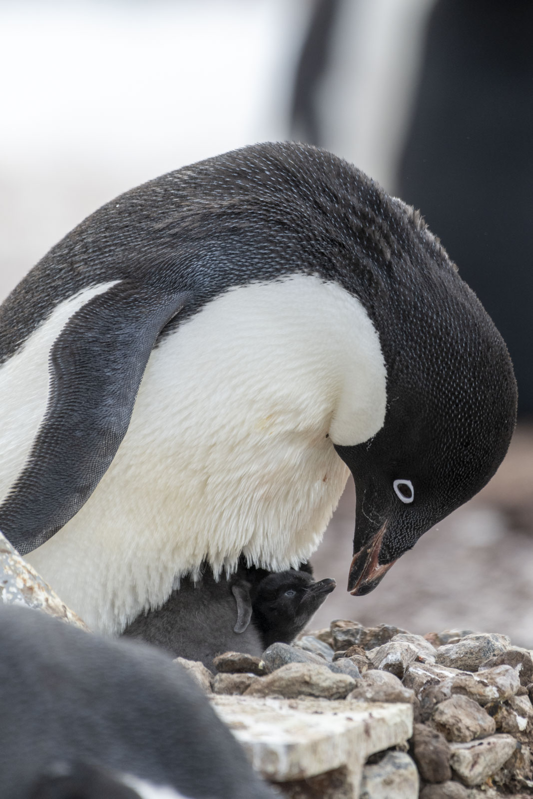 GYT 20221217 103246  DSC1371