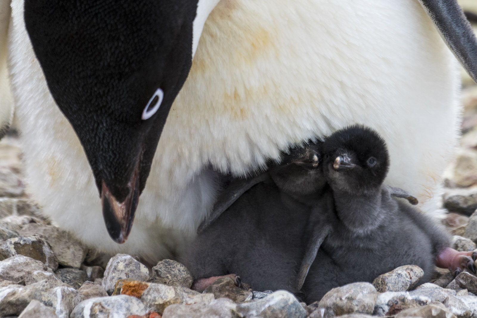 GYT 20221217 103618  DSC1373