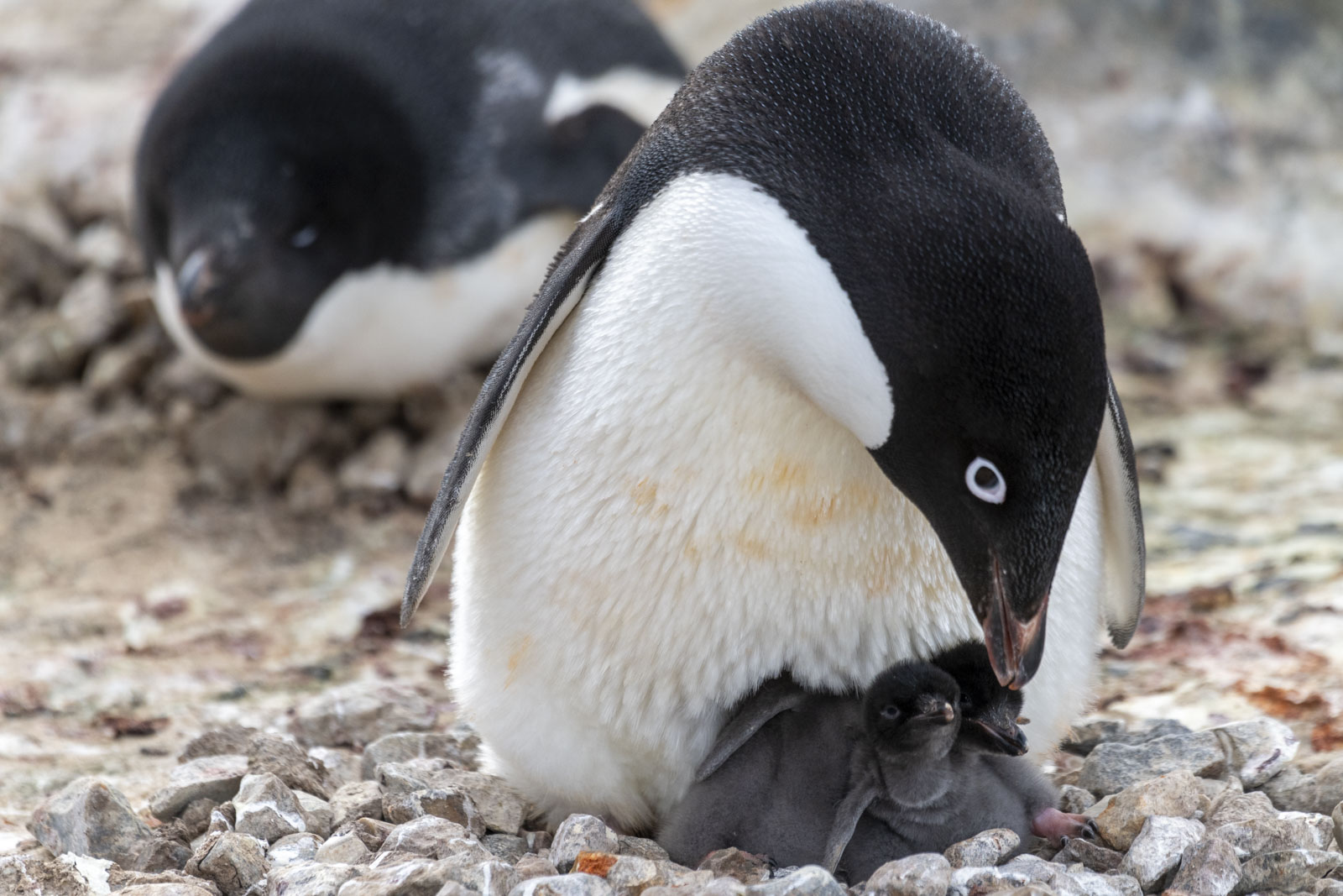 GYT 20221217 103621  DSC1375